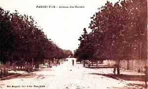 Parmentier - Avenue des Muriers
